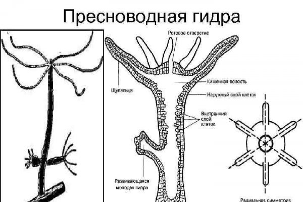 Сайт омг тор